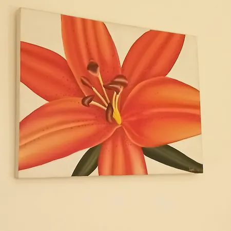 Apartamento Croisette *